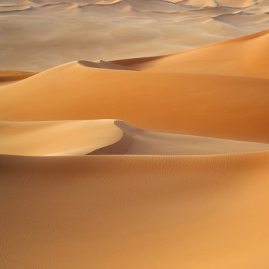 Çölde kum tepeleri