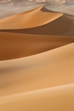 Çölde kum tepeleri