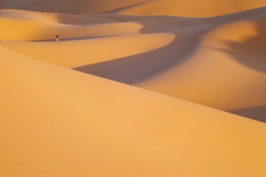 Sandy Dunes sıcak çölde. Dünyanın küresel iklim değişiklikleri. Çöl topraklarının genişlemesi.