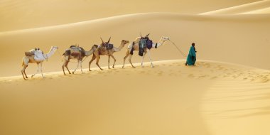 Caravan with camels in desert clipart