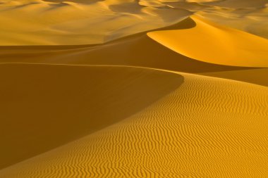 Çölde kum tepeleri