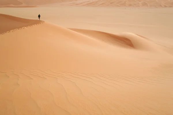 Voyageur seul dans le désert — Photo