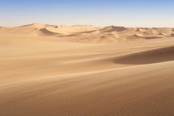 Homokos dűnék sivatagban — Stock Fotó