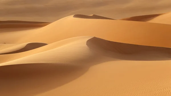 Sandy Dunes Dans Désert Chaud Changements Climatiques Mondiaux Sur Planète — Photo