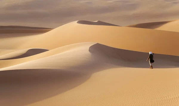 Sandy Dunes Dans Désert Chaud Changements Climatiques Mondiaux Sur Planète — Photo