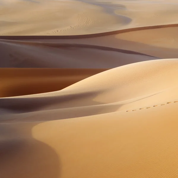 Sandy Dunes Dans Désert Chaud Changements Climatiques Mondiaux Sur Planète — Photo