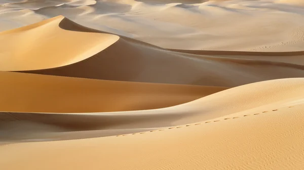 熱い砂漠の砂砂丘 地球の気候変動 砂漠の領域の拡張 — ストック写真