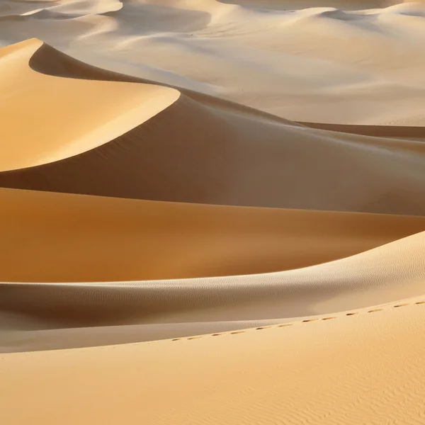 Zanderige duinen in woestijn — Stockfoto