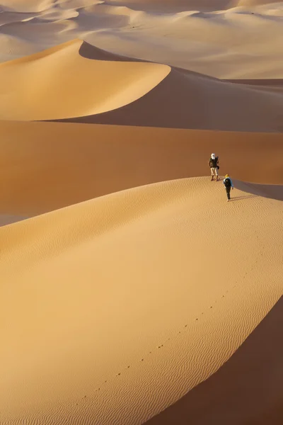 Sandy Dunes Deserto Quente Mudanças Climáticas Globais Planeta Expansão Território — Fotografia de Stock