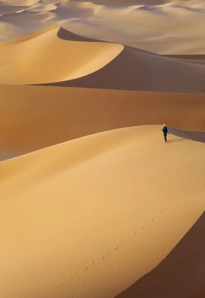Magányos utazó sivatagban — Stock Fotó