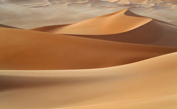 Çölde kum tepeleri — Stok fotoğraf