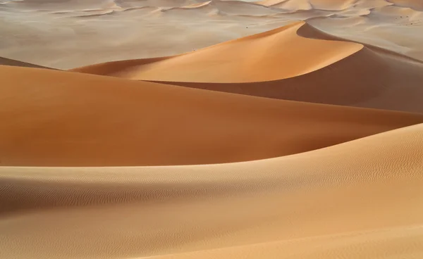 Sandy Dunes in desert — Stock Photo, Image