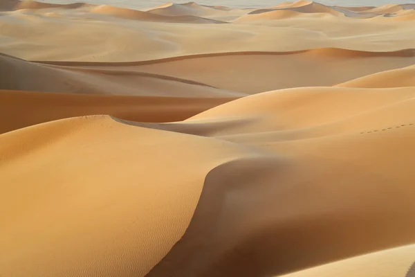 Sandy Dunes in desert — Stock Photo, Image