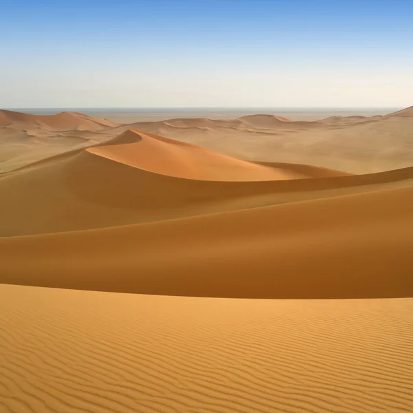 Sandstranden dynerna i öknen — Stockfoto