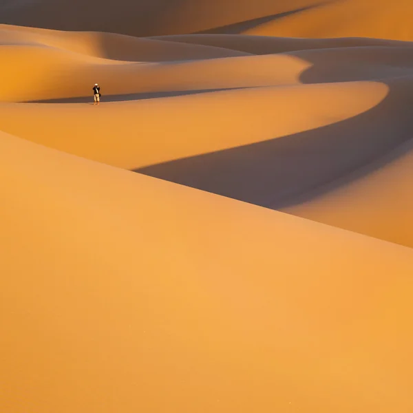 Viajante solitário no deserto — Fotografia de Stock