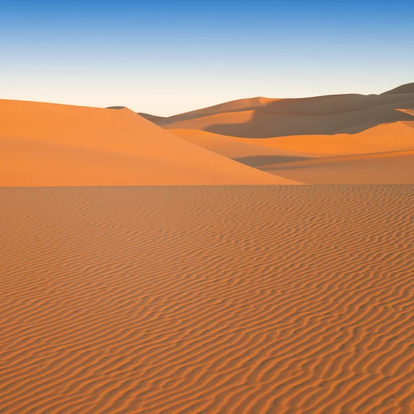 Zanderige duinen in woestijn — Stockfoto