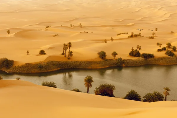 Oásis no deserto quente — Fotografia de Stock