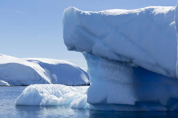Nature et paysages de l'Antarctique — Photo