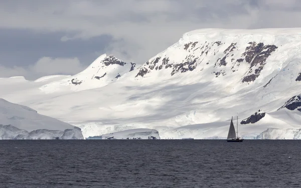 Przyroda i krajobrazy Antarktydy — Zdjęcie stockowe