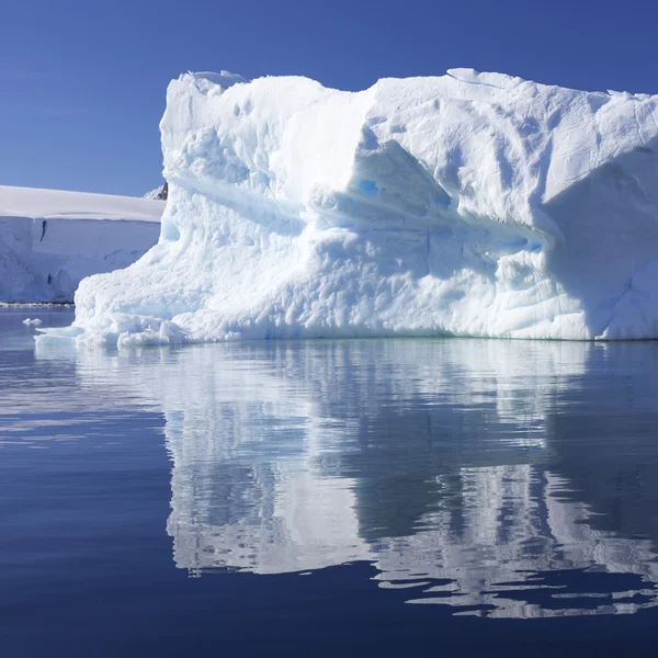 Nature et paysages de l'Antarctique — Photo