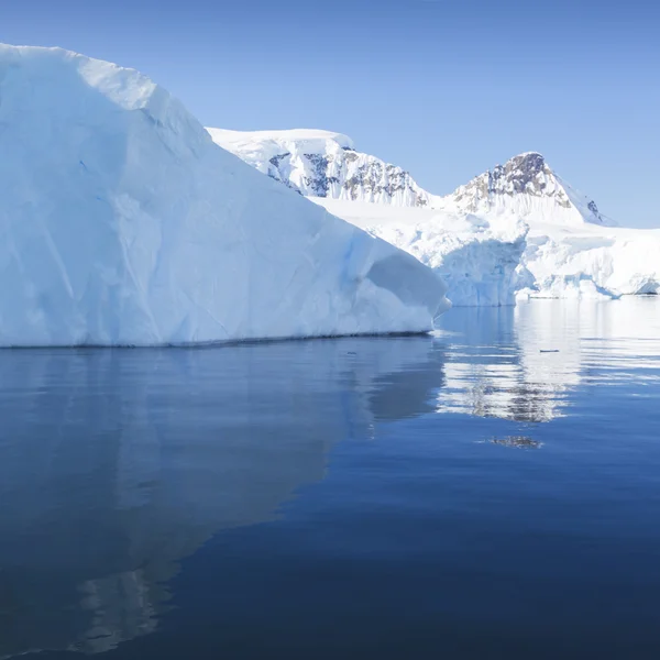 Nature et paysages de l'Antarctique — Photo