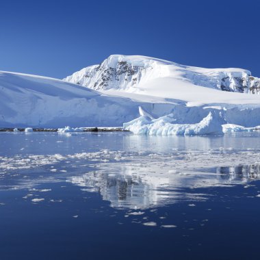 Doğa ve manzara Antarktika