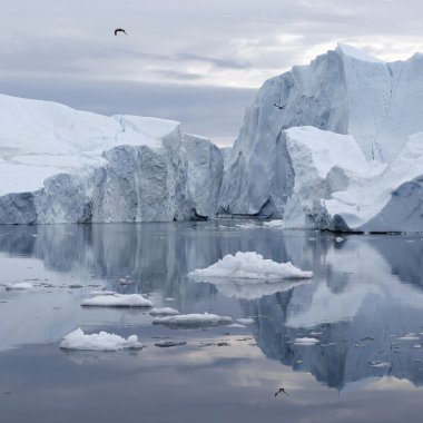 Doğa ve manzara Grönland