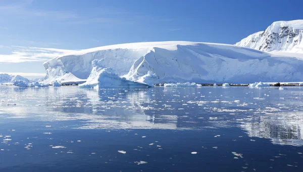 Nature et paysages de l'Antarctique — Photo