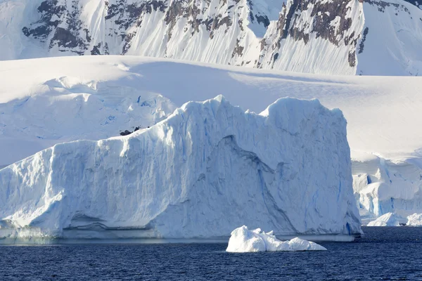 Nature et paysages de l'Antarctique — Photo