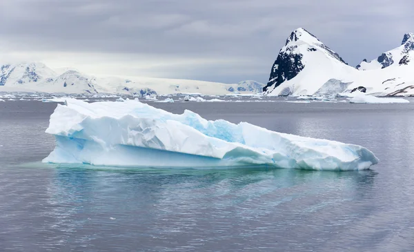 Nature et paysages de l'Antarctique — Photo