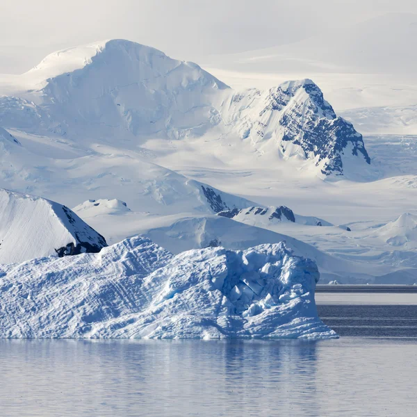 Nature and landscapes of Antarctic Royalty Free Stock Images