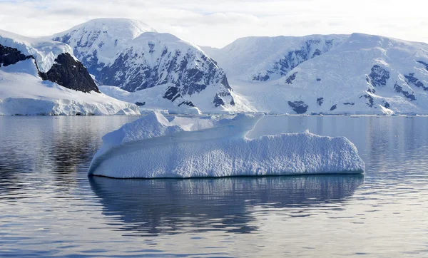 Nature et paysages de l'Antarctique — Photo