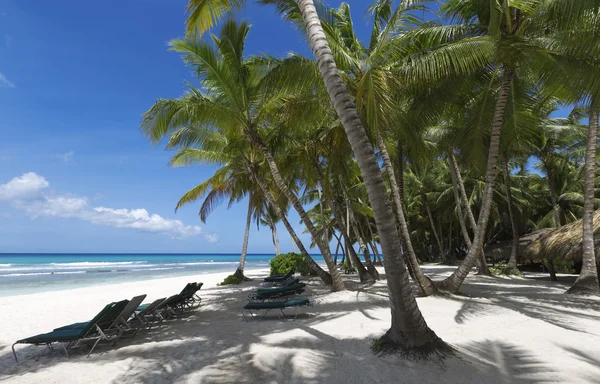 Spiaggia sull'isola tropicale — Foto Stock