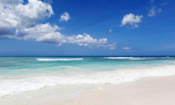 Beach on tropical island