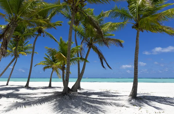 Praia na ilha tropical — Fotografia de Stock