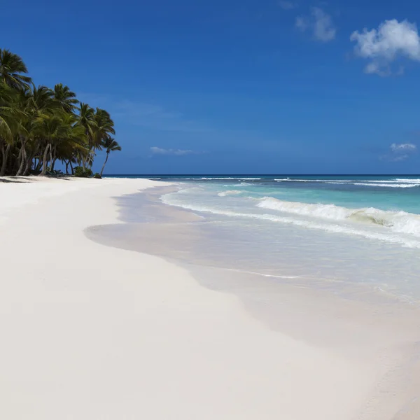 热带岛屿上海滩 — 图库照片