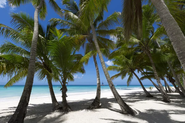 Beach on tropical island — Stock Photo, Image