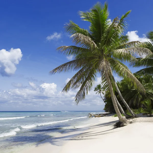 Пляж на тропічному острові — стокове фото