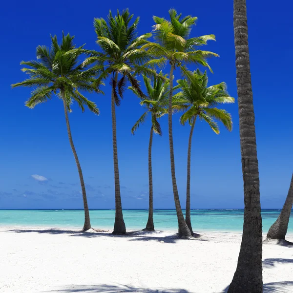 Beach on tropical island — Stock Photo, Image