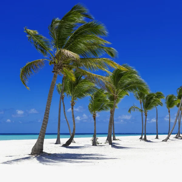 Playa en isla tropical — Foto de Stock