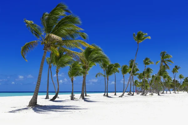 Playa en isla tropical —  Fotos de Stock