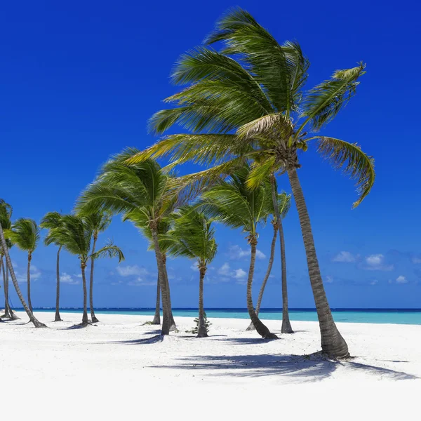 Praia na ilha tropical — Fotografia de Stock