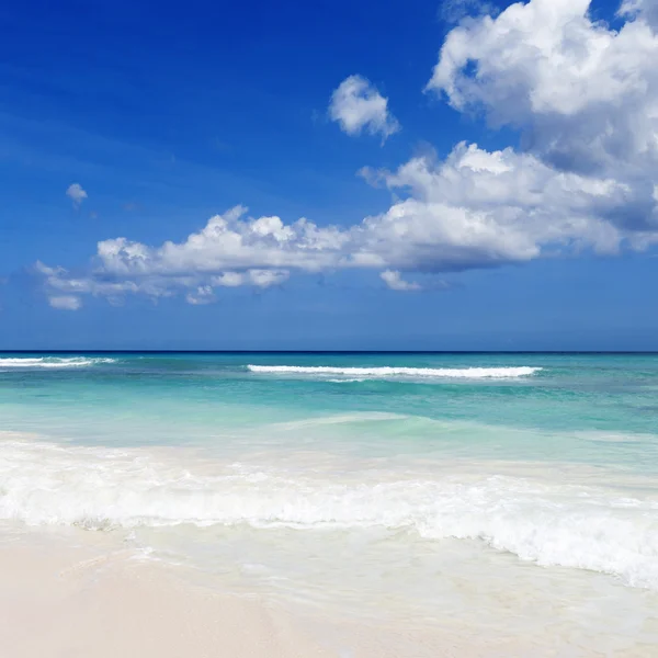 Playa en isla tropical — Foto de Stock