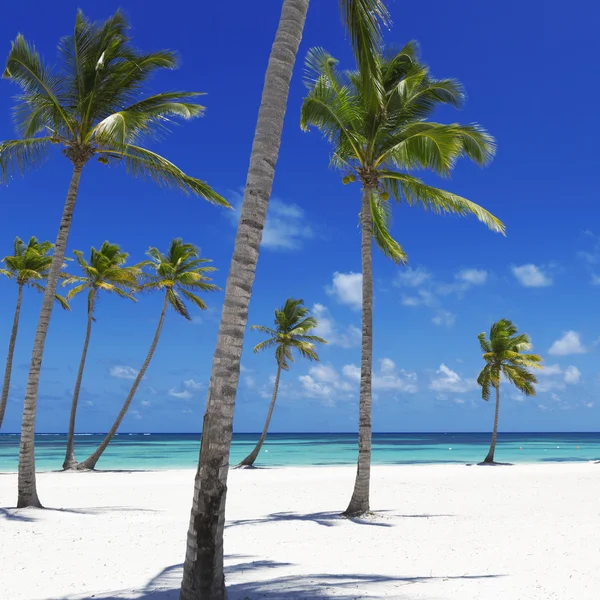 Playa en isla tropical — Foto de Stock