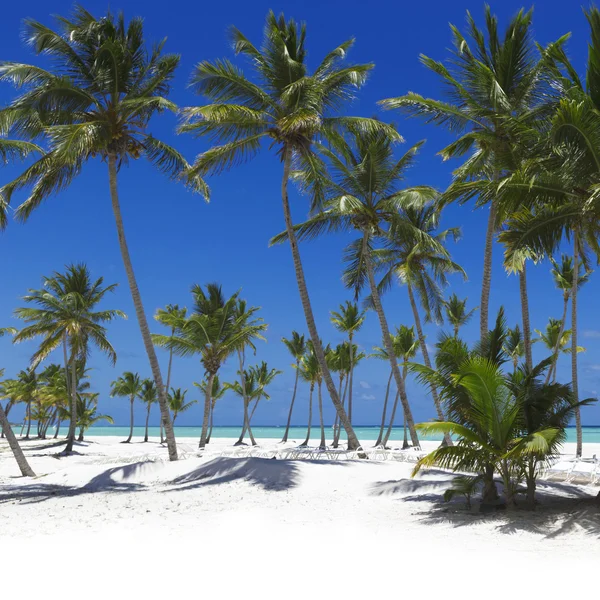 Praia na ilha tropical — Fotografia de Stock