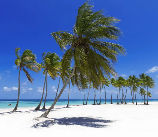 Playa en isla tropical — Foto de Stock