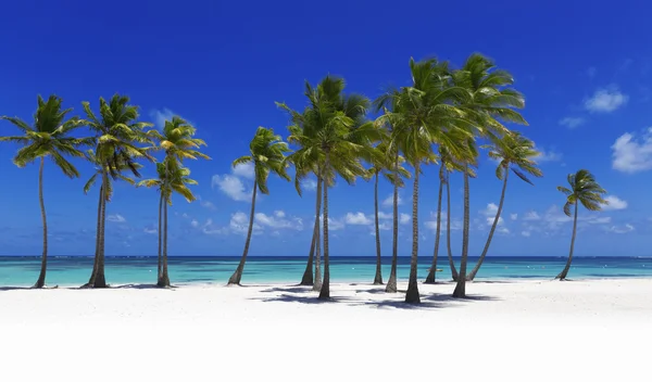 Plaży na tropikalnej wyspie — Zdjęcie stockowe