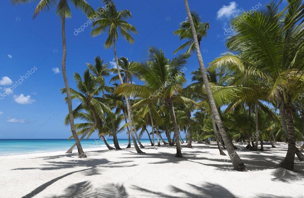 Beach on tropical island