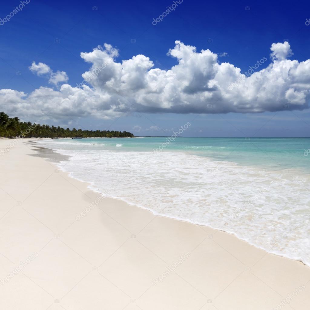 Beach on tropical island