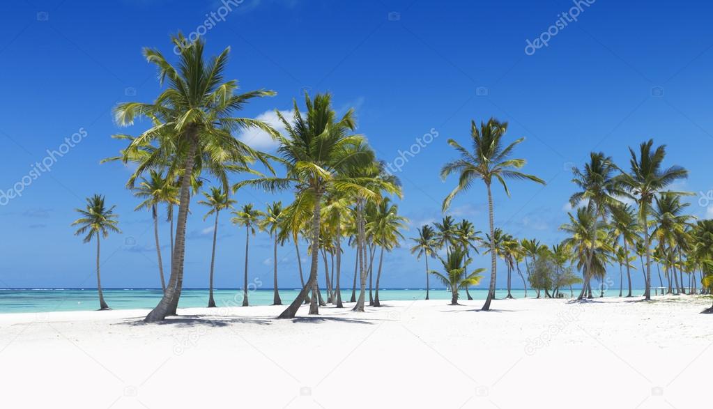 Beach on tropical island